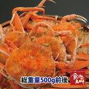 訳ありお試し セコガニ 松葉ガニの雌(活)総重量500g前後 送料無料(ずわい蟹 ずわいがに ズワイガニ かに カニ 蟹 生 香箱ガニ こっぺがに 親ガニ 松葉...