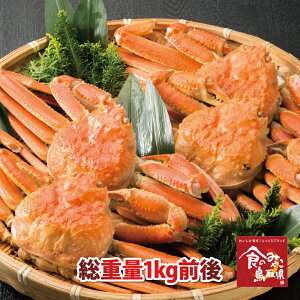 ご予約訳あり松葉ガニ(送料無料)総重量1kg前後(2〜4枚) 1落ち程度 活かボイルを選択して下さい(ズワイガニ 姿 ずわい蟹 ずわいがに かに カニ 蟹 刺身 生)