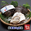 まずはお試し少量セット 鳥取県産 タグ付きブランド天然岩がき 夏輝 約1kg詰め 2個〜3個(岩ガキ/岩牡蠣/カキ)生食用 牡蠣 送料無料