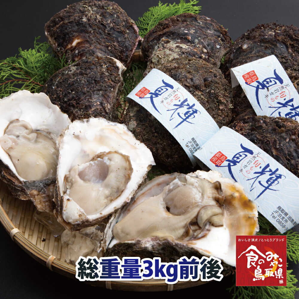 鳥取県産 　タグ付きブランド天然岩がき　夏輝 約3kg詰め 5個〜10個程度(岩ガキ/岩牡蠣/カキ)送料無料 生食用 牡蠣のサムネイル