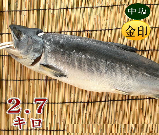 【月間優良ショップ】金印　本造り鮭一匹約2．7キロ... 北海道産 天然 秋鮭 を 新潟の伝統製法 寒風干し 冷凍便 塩鮭のサムネイル