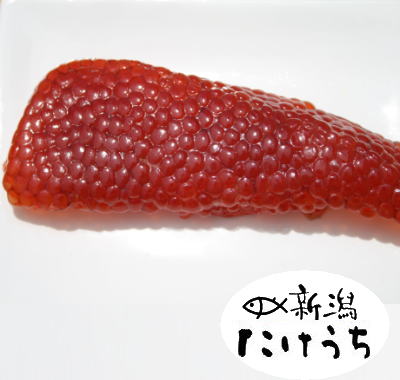 【月間優良ショップ】筋子(秋鮭の子)約180g… 北海道 大粒鮭子 を原料とした 甘塩すじこ 身近な方への 贈物 すじこ北海道 筋子 冷凍