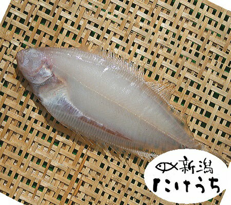 1枚ずつ真空パック他の 魚 と詰合せて同時梱包 10800円以上送料無料 ...