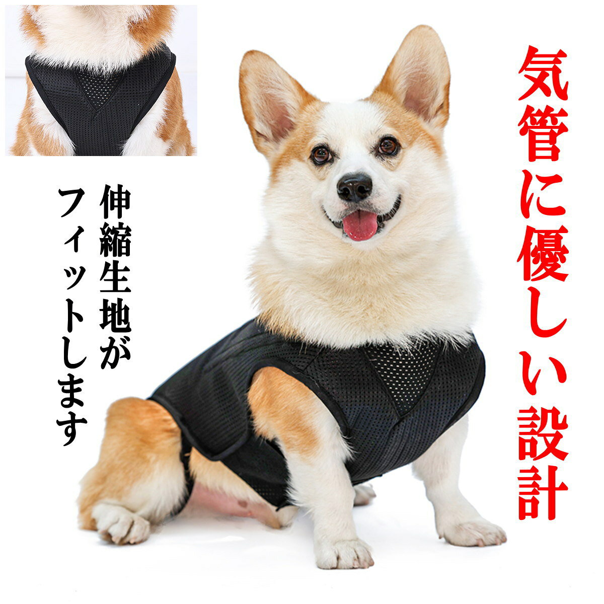 足腰の弱った犬の立ち上がりや歩行をサポート 犬用 腰サポーター コルセット 椎間板ヘルニア 介護サポート 老犬介護 介護用品 送料無料 春夏新作モデル