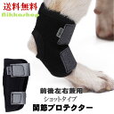 犬 サポーター 後ろ足 前足 左右兼用 ショット 関節サポーター 関節プロテクター 膝サポーター 関節保護 老犬介護 介護用品 シニア 肘当て 床ずれ 腕 肘 老犬 老齢犬 小型犬 中型犬 大型犬 メール便送料無料(4)