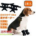 <新商品!>犬 サポーター 足首 犬 ナックリング防止サポーター 足首プロテクター 足首サポーター 2本入 室内用 左右セット 前後兼用 指 爪 保護 つま先 ...