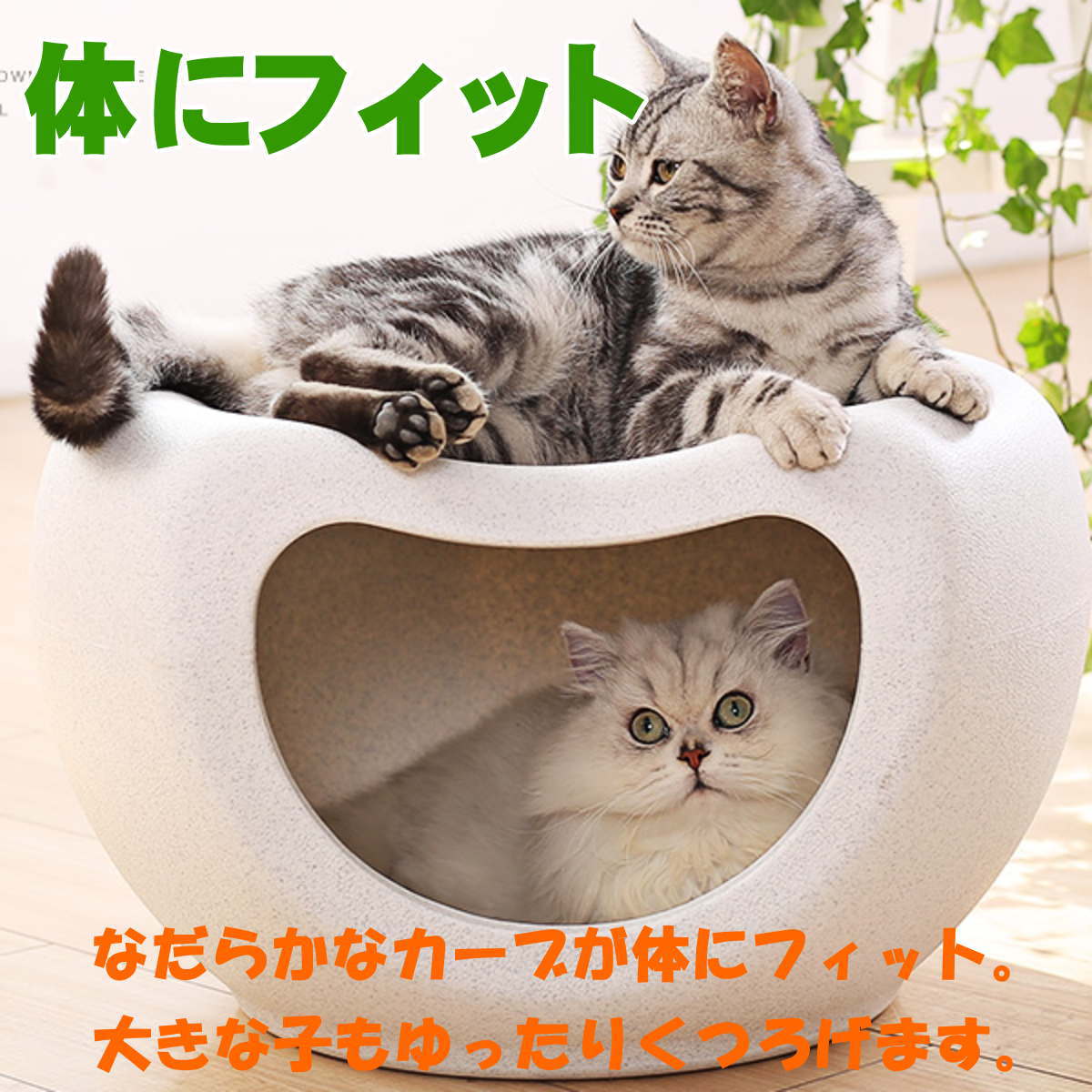 送料無料 楽天カード分割 小型犬 中型犬 大型犬 猫用品 アウトレット Nikkashop 犬 ベッド 家具調 一体型 インテリアハウス ホワイト 癒し系 ドーム ハウス 箱型ボックス室内用