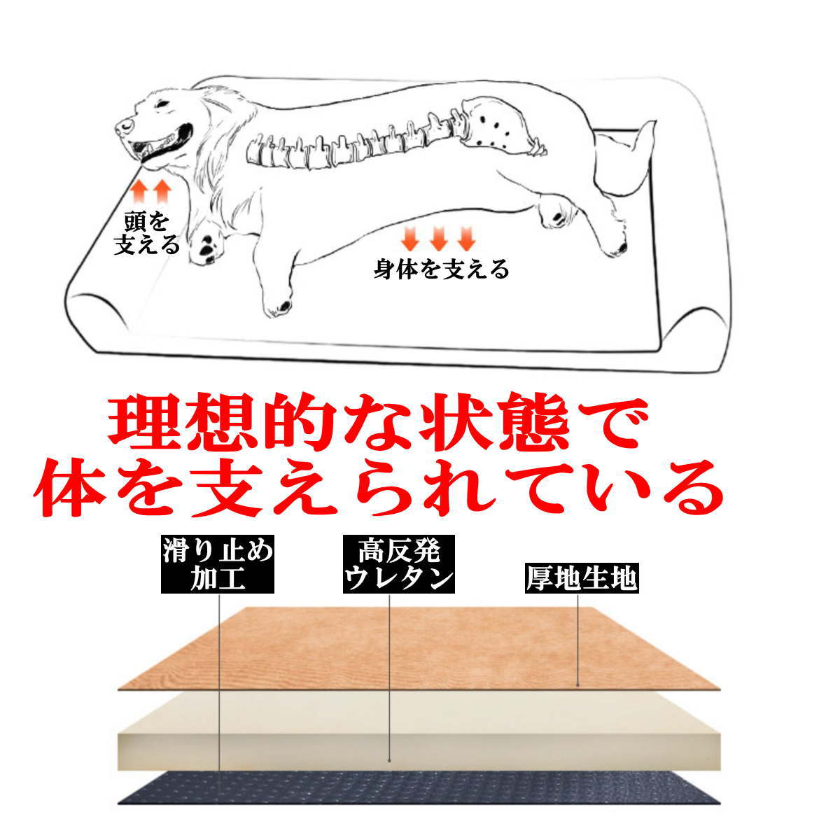 送料無料 小型犬 中型犬 大型犬 猫用品 アウトレット Nikkashop ベッド 体圧分散 U字型 コーデュロイ Lサイズ 床ずれ 老犬 あったか 経典 丈夫 寝たきり 介護 老猫 宅配便送料無料 マット敷き物 ソファベッド クッションベッド シニア 暖かい 洗える おすすめ