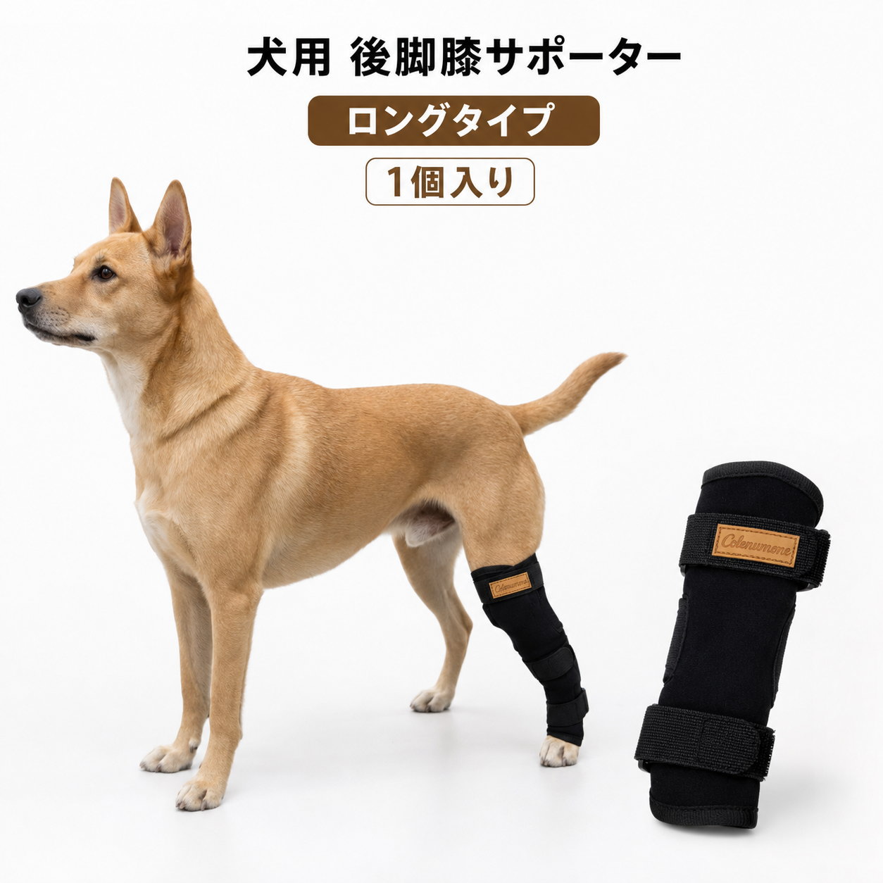 特徴愛犬の後脚を広い範囲で包み込む、ロングタイプの犬用膝サポーターです。 太もも側から足首側までカバーし、膝まわりや後脚をやさしく保護。シニア期の関節ケア、ケガや術後の保護、傷口を舐める対策など、毎日の後脚ケアにお使いいただけます。 上下2本の面ファスナーベルトを採用。太もも側と足首側をそれぞれ調整できるため、愛犬の脚まわりに合わせて固定できます。 膝裏にはカーブ状のカットを施し、後脚の動きに沿いやすい立体設計。やわらかなポリエステル素材で、脚まわりにやさしくフィットします。 【商品特徴】 ・太ももから足首側まで包むロングタイプ ・上下2本の面ファスナーで調整可能 ・膝裏の動きに沿うカーブ設計 ・やわらかなポリエステル素材 ・シニア期、ケガ、術後、舐め対策などに ・片側用1個入り仕様サイズ： S：太もも周り12cm／足首側周り11cm／商品丈16cm M：太もも周り14cm／足首側周り13cm／商品丈18cm L：太もも周り16cm／足首側周り15cm／商品丈21cm XL：太もも周り18cm／足首側周り17cm／商品丈24cm セット内容：犬用後脚膝サポーター×1個素材ポリエステルカラーブラック注意事項※本商品は片側用です。左右両脚に使用する場合は2個必要です。 ※立った状態で太もも側と足首側の周囲を測ってください。 ※締めすぎないよう、指が1～2本入る程度を目安に調整してください。 ※装着中は皮膚の状態や歩き方をこまめに確認してください。 ※異常が見られた場合は、直ちに使用を中止してください。 ※治療用の医療器具ではありません。術後・治療中の場合は、獣医師に相談してご使用ください。愛犬の後脚を広く包むロングタイプ膝サポーター 太もも側から足首側までカバーし、 膝まわりや後脚をやさしく保護します。 シニア期の関節ケア、ケガや術後の保護、 傷口を舐める対策など、毎日の後脚ケアに。 ■ ロングタイプで広い範囲をカバー 太もも側から足首側まで包み込むロング設計。 膝まわりを中心に、後脚の広い範囲をやさしく保護します。■ 上下2本のベルトでフィット調整 太もも側と足首側に、面ファスナーベルトを配置。 愛犬の脚まわりに合わせて、それぞれの固定具合を調整できます。■ やわらかなポリエステル素材 脚まわりにフィットしやすい、やわらかな素材を使用。 縁取りを施し、肌当たりにも配慮しています。■ 後脚の動きに沿う立体設計 膝裏部分にはカーブ状のカットを採用。 膝関節の位置に合わせやすく、後脚の動きに沿う形状です。こんな場面におすすめ ・シニア期の後脚ケアに ・膝まわりや関節の保護に ・ケガや術後の患部カバーに ・傷口を舐める対策に ・獣医師の指示による歩行時のサポートに