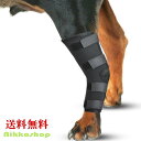 犬 サポーター 前足後足左右兼用 ロング 小型犬 中型犬 大型犬 関節サポーター 関節プロテクター 膝サポーター 関節保護 老犬介護 介護用品 シニア 肘当て 床ずれ 腕 肘 老犬 老齢犬 メール便送料無料