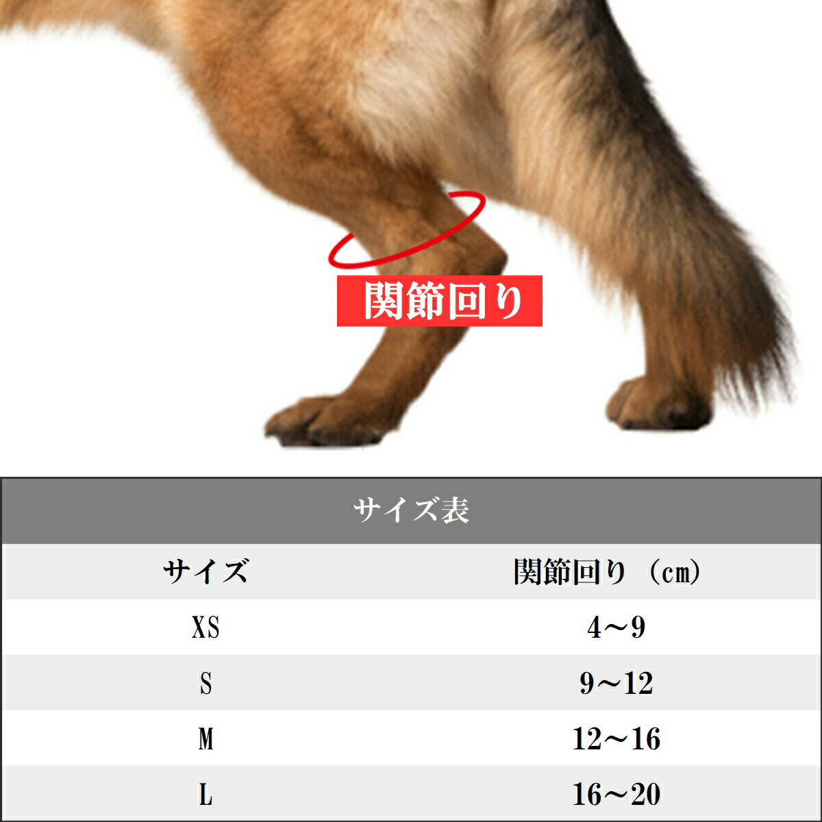 メール便送料無料 小型犬 中型犬 大型犬 猫用品 アウトレット Nikkashop 64 以上節約 犬用 足首プロテクター 足首 サポーター 後足用 ペット用ケア用品 固定 シニア 犬骨折治療 老犬介護 老犬 介護用品 歩行サポート リハビリ 引きずる 老齢犬 包帯