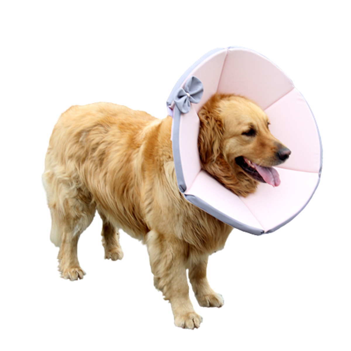 送料無料 小型犬 中型犬 大型犬 猫用品 アウトレット Nikkashop エリザベス カラー ソフト 調節可能 柔らかい 贈る結婚祝い L Xxxlサイズ 軽量 傷口保護 手術後のケア 引っ掻き防止 傷舐め防止 布製