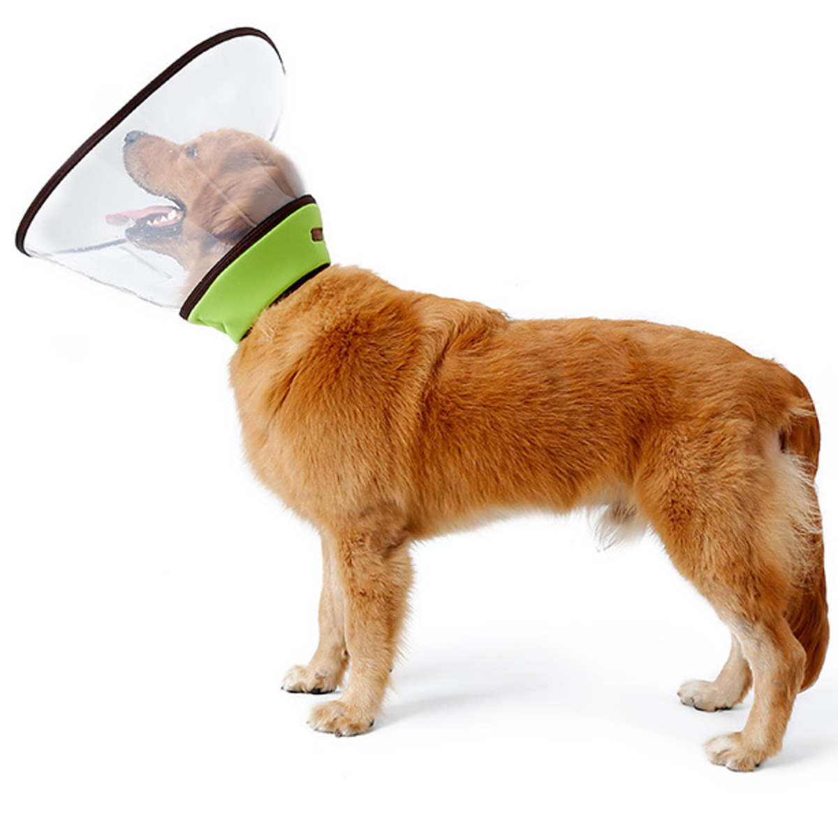 送料無料 小型犬 中型犬 大型犬 猫用品 アウトレット Nikkashop エリザベスカラー Xl 3xlサイズ 国内外の人気集結 視界クリア 手術後のケア 傷舐め防止 柔らかい 大型宅配便送料無料 軽量 クリアー 傷口保護 ソフト 引っ掻き防止