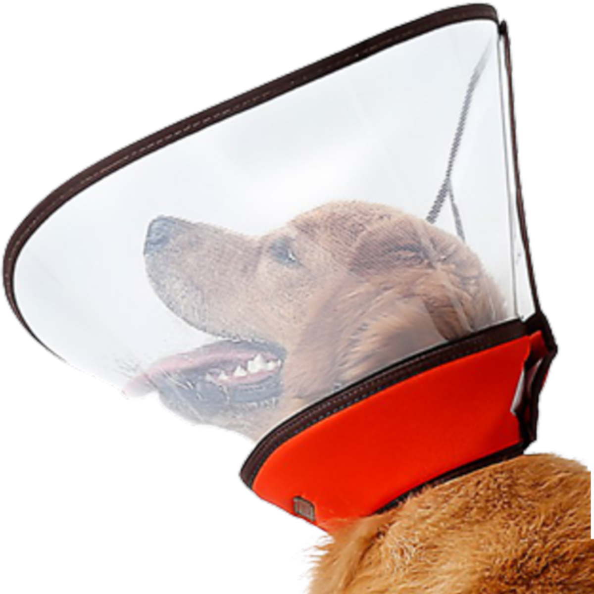 送料無料 小型犬 中型犬 大型犬 猫用品 アウトレット Nikkashop エリザベスカラー Xl 3xlサイズ 国内外の人気集結 視界クリア 手術後のケア 傷舐め防止 柔らかい 大型宅配便送料無料 軽量 クリアー 傷口保護 ソフト 引っ掻き防止