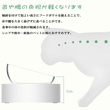 食器 平置き斜め置き スタンド テーブル ボウル付き 傾斜フードボウル食器台 斜めフードボウルスタンド 犬用食器 猫用食器 ペット フードボール ウォーターボウル 餌入れ 水飲み器 給水器 皿 給餌器 宅配便送料無料