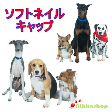 【セール/特価/返品・交換不可】犬用ソフトネイルキャップ（ネイルカバー）20個セット（専用接着剤付き）（XS-XXLサイズ）【メール便送料無料】