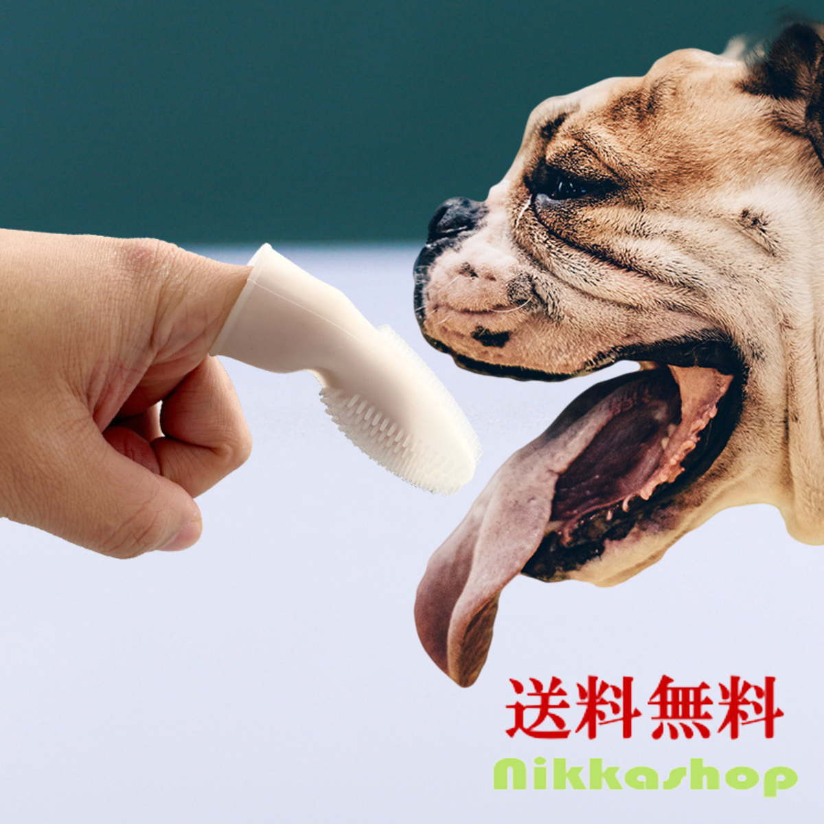 商品説明 特徴 使いやすい指サック型の犬歯ブラシです。 歯磨きの苦手なワンちゃんにおススメ！ やわらかいシリコン製で、歯に引っかかる心配がありません。 大型犬から 超小型犬まで, 猫にも使用可能です。 素材 シリコン 仕様 長さ：7.5cm、直径：2.5cm 原産国 中国 使用上のご注意 ※ご自身のわんちゃんの性格、行動を見極めてから、自己責任にてご使用くださいますようお願いいたします！ ※口腔内を傷つけないように十分注意して下さい。 ※ペット用以外には使用しないでください。 ※アレルギー・皮膚炎・傷・デキモノなど、皮膚や被毛にトラブルのあるペットには使用しないでください。 ※使用中、なにか異変を感じたときにはすぐに使用を中止し、獣医師や専門家にご相談下さい。商品説明 特徴 使いやすい指サック型の犬歯ブラシです。 歯磨きの苦手なワンちゃんにおススメ！ やわらかいシリコン製で、歯に引っかかる心配がありません。 大型犬から 超小型犬まで, 猫にも使用可能です。 素材 シリコン 仕様 長さ：7.5cm、直径：2.5cm 原産国 中国 使用上のご注意 ※ご自身のわんちゃんの性格、行動を見極めてから、自己責任にてご使用くださいますようお願いいたします！ ※口腔内を傷つけないように十分注意して下さい。 ※ペット用以外には使用しないでください。 ※アレルギー・皮膚炎・傷・デキモノなど、皮膚や被毛にトラブルのあるペットには使用しないでください。 ※使用中、なにか異変を感じたときにはすぐに使用を中止し、獣医師や専門家にご相談下さい。