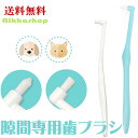 犬 歯ブラシ 猫 小型犬 隙間専用歯ブラシ 歯石 歯垢 細かい 細型 ワンタフトブラシ 歯間 仕上げ磨き 部分磨き すきま 犬 デンタルケア 歯科衛生用ブラシ デンタルケア 耐久性 丈夫 清潔 お手入れ用品 メール便送料無料