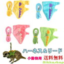 <新商品!>小動物用 ハーネスリードセット ベストタイプ ソフト 恐竜 スモールペットフェレット テン チンチラ リス ウサギ プレーリードッグ 子猫 お散歩 ...
