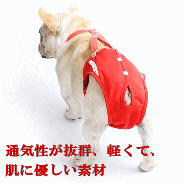 サニタリーパンツ生理パンツマナーパンツ犬服サスペンダー付き【マーキング対策/尿もれ/オシッコ対策/ずれない/マナー/ズレ防止/ドッグカフェ/室内/おでかけ/ドライブ/】【メール便送料無料】