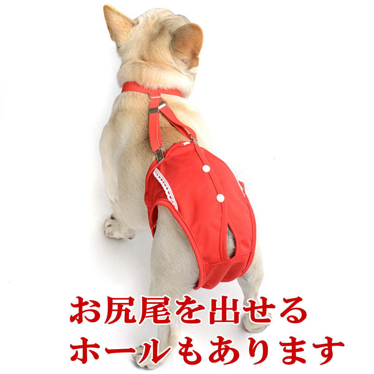 メール便送料無料 小型犬 中型犬 大型犬 猫用品 アウトレット Nikkashop 犬服 ドッグウェア サニタリーパンツ 生理パンツ マナーパンツ 通気性抜群 軽い Sale 93 Off サスペンダー おでかけ 尿もれ ズレ防止 ドライブ 生理用 マナー 室内 発情期用 メス 女の子用