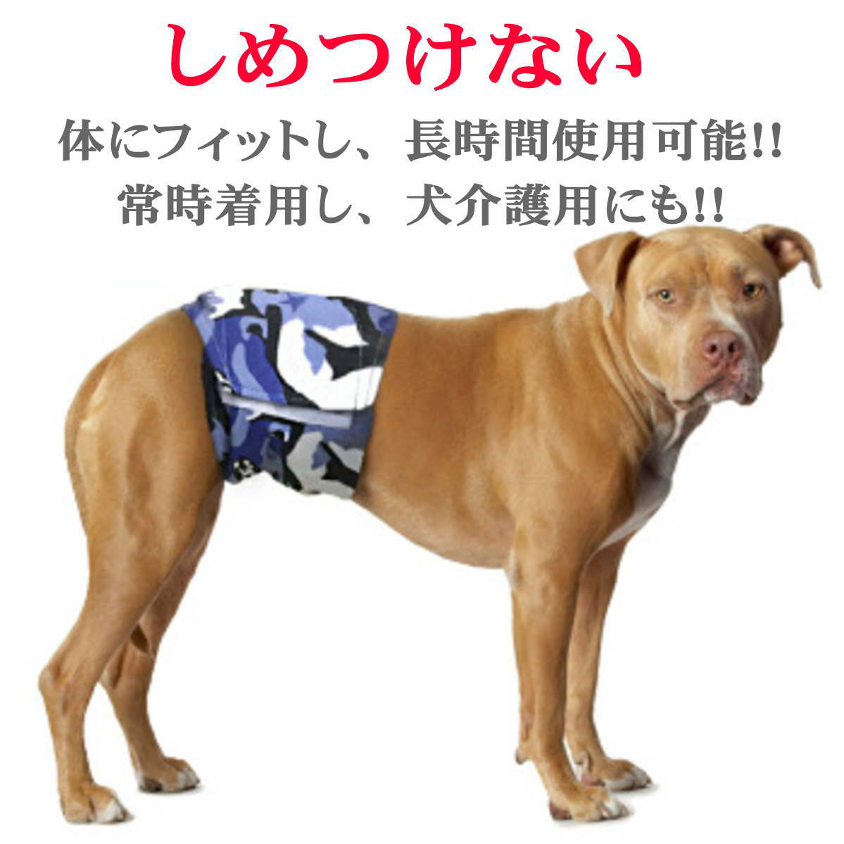 メール便送料無料 小型犬 中型犬 大型犬 猫用品 アウトレット Nikkashop マナーベルト 犬 オス おむつ カバー オムツ 迷彩柄 幅広 男の子 介護用 今季も再入荷 シニア犬 消臭 介護 通気性 去勢 散歩 オシッコ対策 交配 漏れにくい 高齢犬 ドッグカフェ おでかけ ずれない メール便送料無料 小型犬 中型犬 大型犬 猫用品 アウトレット Nikkashop マナーベルト 犬 オス おむつ カバー オムツ 迷彩柄 幅広 男の子 介護用 今季も再入荷 シニア犬 消臭 介護 通気性 去勢 散歩 オシッコ対策 交配 漏れにくい 高齢犬 ドッグカフェ おでかけ ずれない