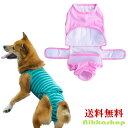 \SALE 50%OFF/マナーウェア 介護服 術後服 大型犬 マナーパンツ サニタリーパンツ おむつカバー 手術後服 犬術後ウェア 術後保護服 メス オス兼用...