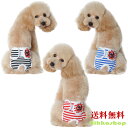 マナーパンツ 犬 メス マナーパンツカバー 女の子 サニタリー パンツ 生理パンツ マナーウェア ず ...