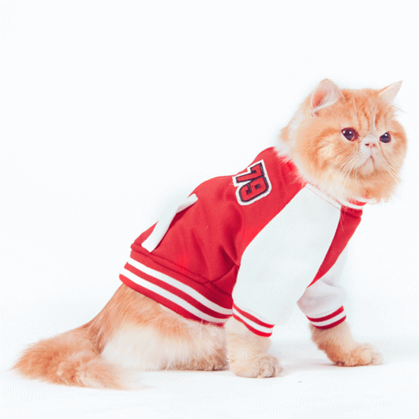 メール便送料無料 小型犬 中型犬 大型犬 猫用品 アウトレット Nikkashop 犬服 ドッグウェア 商い 冬服 ジャージ ジャケット 79ロゴ 犬の服 ペット服 スポーツウェア あたっか