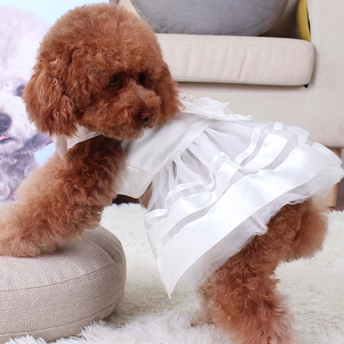 メール便送料無料 小型犬 中型犬 大型犬 猫用品 アウトレット Nikkashop 犬服 春 ワンピース かわいい 女の子 ウェディングドレス パーティードレス 記念パーティー お祝い 上品 結婚式 制服 犬の服 レース 安心と信頼 フラワーリボン ペット服 犬猫 キラキラ パール ライン