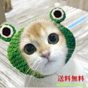 犬 猫 帽子 かぶりもの 帽子 防寒 ニット カエル 編み かわいい 汚れ防止 ギフト 猫用品 ペット用品 ペットグッズ ねこ ネコ 小型犬 メール便送料無料