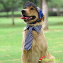 大型犬におすすめの帽子 コスチューム ゴールデンの りきまる情報館 大型犬におすすめの帽子 コスチューム ゴールデンの りきまる情報館