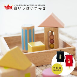 積み木 木のおもちゃ エドインター 木製 知育玩具 おもちゃ 玩具 知育 赤ちゃん プレゼント 出産祝い 誕生日 子供 かわいい おしゃれ 男の子 女の子 1歳 2歳 3歳 4歳 5歳 音 つみき 音いっぱいつみき