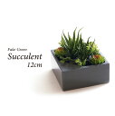 人工観葉植物 フェイクグリーン リアル 観葉植物 造花 多肉植物 陶器鉢付 卓上 小型 フェイク グリーン インテリア おしゃれ お祝い 父の日