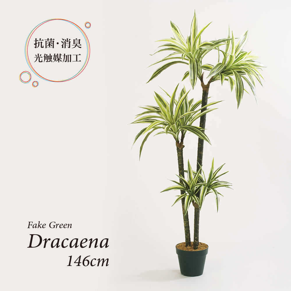 人工観葉植物 フェイクグリーン 観葉植物 造花 ドラセナ ツリー 陶器鉢付 光触媒 大型 フェイク グリーン インテリア おしゃれ 146cm