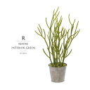 観葉植物 父の日 屋外 フェイクグリーン リアル 人工観葉植物 父の日 屋外 ミルクサンゴ 造花 おしゃれ ツリー 店舗装飾 フェイク グリーン ポット 鉢付 ...
