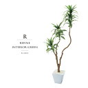観葉植物 父の日 屋外 フェイクグリーン リアル 人工観葉植物 父の日 屋外 ドラセナ コンパクタ ツリー 陶器 造花 おしゃれ ツリー 店舗装飾 鉢付 フェイ...