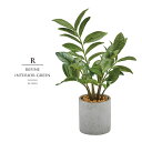 観葉植物 父の日 屋外 フェイクグリーン リアル 人工観葉植物 父の日 屋外 ゼミフォリア 造花 おしゃれ ツリー 店舗装飾 鉢付 小型 フェイク グリーン イ...