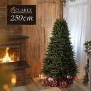 【2025年度分8月から予約受付】ヨーロッパメーカー「CLAREX」製の高級クリスマスツリー 北欧 おしゃれ 250cm ポーランド ヌードツリー オーナメント...