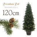 【本日全品P10倍】クリスマスツリー 北欧 おしゃれ プレミアムウッドベースツリー120cm オーナメント 飾り なし ポットツリー ヌードツリーの商品画像