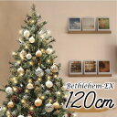 NX}Xc[ k  xcw̐-EX I[ig  Zbg LED [bpgEqc[Zbg120cm