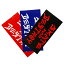 THRASHER (スラッシャー) US 小判 ステッカー シール SKATE AND DESTROY MEDIUM S&D Sticker (Black/Red/Blue) スケボー SKATE SK8 スケートボード