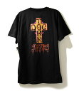 DOGTOWN (ドッグタウン) Tシャツ D.T.S. S