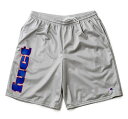 fuct (t@Ng) `sI bVV[c V[gpc OG LOGO CHAMPION MESH SHORTS ATHLETIC GRAY