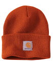 Carhartt (カーハート) US ニットキャップ 帽子 ビーニー (A18) Acrylic Watch Hat Jasper