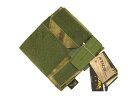 Flyye Molle Administrative/Pistol Mag Pouch A-TACS FG