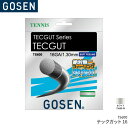 S[Z GOSEN ebNKbg 16 TECGUT 16 TS600 ejX Kbg XgO Q[WF1.30mm(16GA.) F12.2m(40FT.)