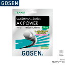 S[Z GOSEN AKp[16 AK POWER 16 TS712 ejX Kbg XgO Q[WF1.29mm(16GA.) F12.2m(40FT.)