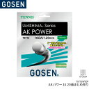 S[Z GOSEN AKp[16 20(܂Ƃߔ) AK POWER 16~20TS712W20P ejX Kbg XgO Q[WF1.29mm F12.2m(40FT.)~20