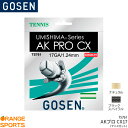 S[Z GOSEN AKvCX17 AK PRO CX 17 TS761 ejX Kbg XgO Q[WF1.24mm(17GA.) F12.2m(40FT.)